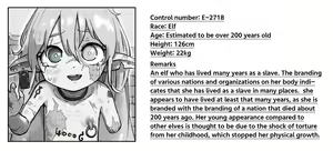 Page 291 of Isekai Dorei Shijou ni Ittemita. | Slave Market Stroll - preview thumbnail