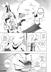 Page 11 of KAHAKU - preview thumbnail
