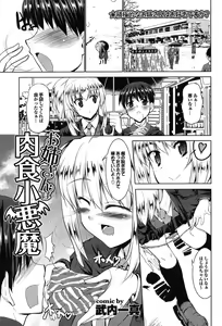 Oneesan wa Nikushoku Koakuma — hentai manga cover on Fhentai