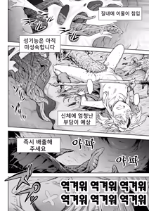 Page 27 of Mesuka Donmushi Ogufesuka "Zenpen" - preview thumbnail