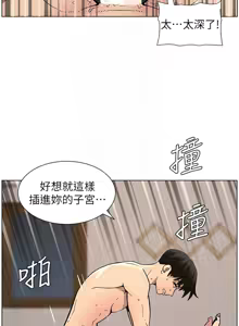 Page 1240 of 兄妹的秘密授课/A Secret Lesson With My Younger Sister 1-83 - preview thumbnail