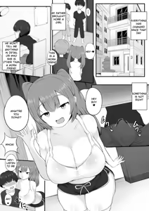 Inma Luminatis - hentai manga cover image
