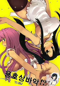 Ryuuko Aiutsu!? | 용호상바악!? — hentai manga cover on Fhentai