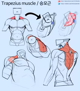 Page 18 of Tips for Drawing - preview thumbnail