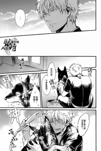 Page 18 of How to Spoil Your Dog - preview thumbnail