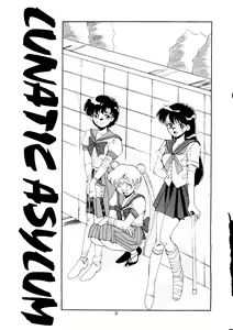 Page 3 of LUNATIC ASYLUM - preview thumbnail
