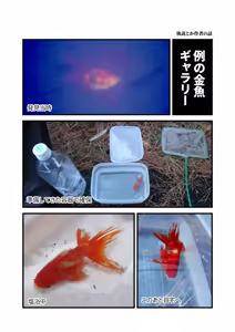 Page 1120 of ちぽかん (CHIPOKAN) 2024- - preview thumbnail