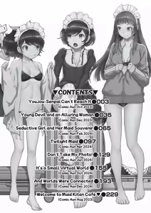 Page 3 of Cosplay Maid ga Ikagawashii - preview thumbnail