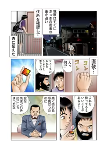 Page 22 of Jukujo Mania Vol. 9 - preview thumbnail