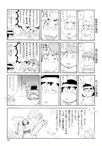 Page 32 of CG²R 01 - preview thumbnail