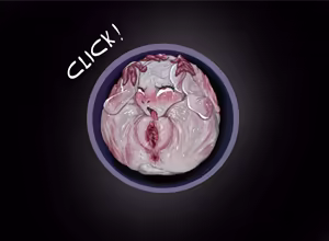 Page 55 of DEO - preview thumbnail