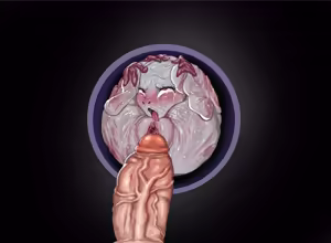Page 56 of DEO - preview thumbnail