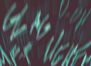 Page 365 of whnzz - preview thumbnail