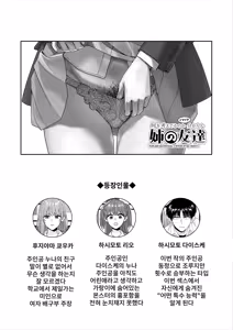 Page 4 of Nani o Kangaeteru no ka Imaichi Wakaran Ane no Tomodachi | 무엇을 생각하고 있는지 잘 모르겠는 누나의 친구 - preview thumbnail