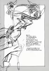 Page 23 of Lyrical Over Drive StrikerS - preview thumbnail