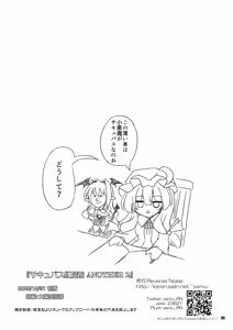 Page 25 of Succubus Koumakan ANOTHER 2 - preview thumbnail