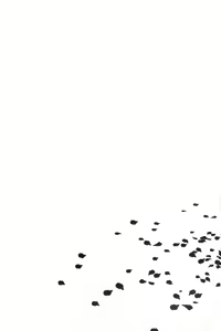 Page 24 of for you - preview thumbnail