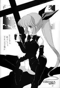 Page 27 of Chousen Ame Ver. 10.0 - preview thumbnail