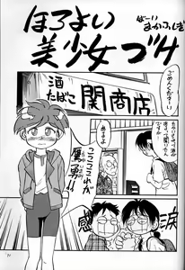 Page 70 of Chousen Ame Ver. 10.0 - preview thumbnail