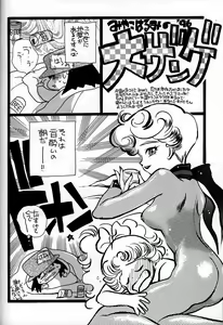 Page 81 of Chousen Ame Ver. 10.0 - preview thumbnail