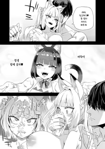 Page 14 of Nekozoku Musume wa Ningen o Kau. - CAT GIRLS KEEP A HUMAN | 묘족녀는 인간을 기른다. - preview thumbnail