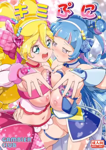 Kimi Pre — hentai manga cover on Fhentai