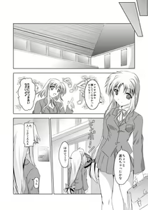Page 5 of InSulT II - preview thumbnail
