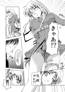 Page 7 of InSulT II - preview thumbnail
