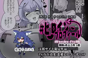 Heroine Profile ③ — hentai manga cover on Fhentai