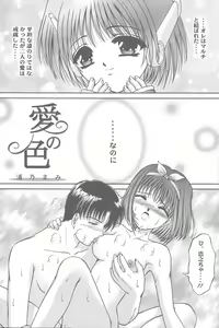 Page 16 of Shimensoka 6 - preview thumbnail