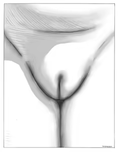 Page 241 of Shizuoka - preview thumbnail