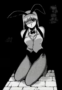 Page 83 of Leotard Connection - preview thumbnail