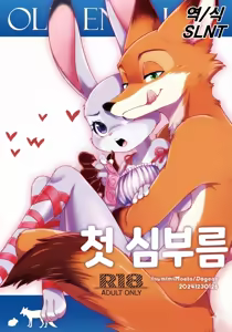 Hajimete no Otsukai | 첫 심부름 — hentai manga cover on Fhentai