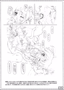 Page 6 of nanO RAISER - preview thumbnail
