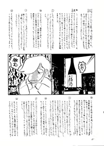 Page 27 of Ginrei Hon NG - preview thumbnail