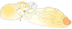 Page 74 of LAZYPB - preview thumbnail
