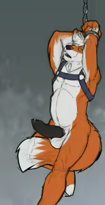 Page 1579 of No-SWIFT - preview thumbnail