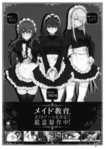 Page 29 of Maid Kyouiku. 9 -Botsuraku Kizoku Rurikawa Tsubaki- - preview thumbnail