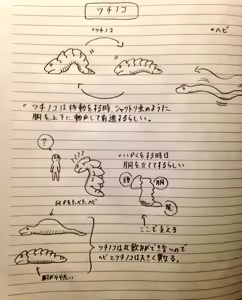 Page 370 of mynameissuusan Twitter and Pixiv - preview thumbnail