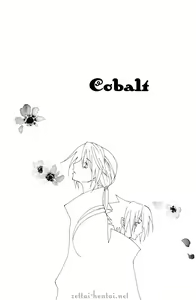 Page 2 of Colbalt - preview thumbnail