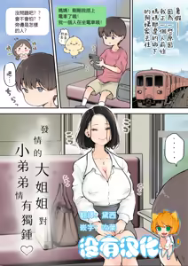 Muramura Onee-san wa Chiisai no ga Suki | 發情的大姐姐對小弟弟情有獨鍾 — hentai manga cover on Fhentai