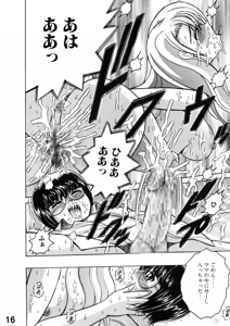 Page 16 of SHIO!EX 15 - preview thumbnail