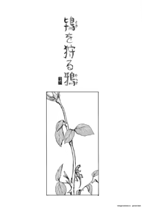 Page 177 of KAINEKO - preview thumbnail