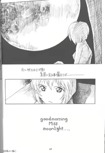 Page 17 of DUMMY LIP - preview thumbnail