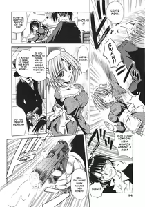 Page 17 of Palladium Garden - preview thumbnail