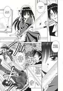 Page 18 of Palladium Garden - preview thumbnail