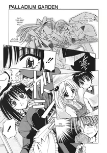 Page 20 of Palladium Garden - preview thumbnail
