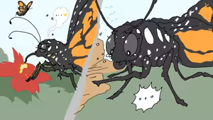 Page 361 of 10Hwan + Nawh10 + 1Nawh10 - preview thumbnail