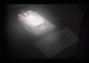 Page 261 of Selcky - preview thumbnail