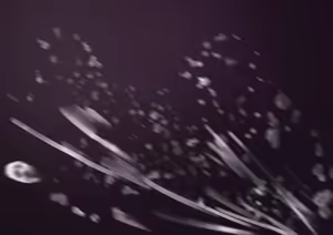 Page 441 of Selcky - preview thumbnail